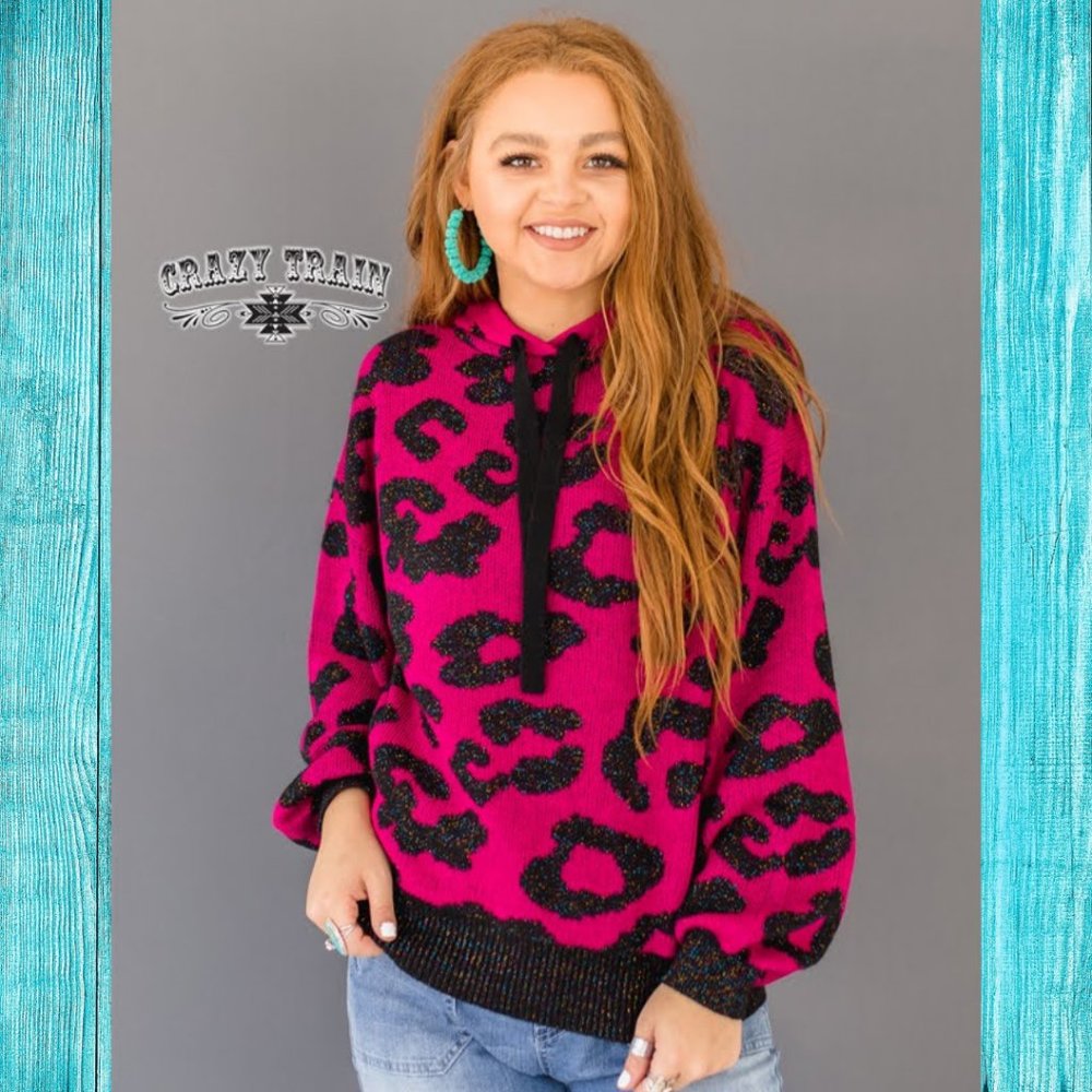 Crazy Train Stardust Hoodie Sweater